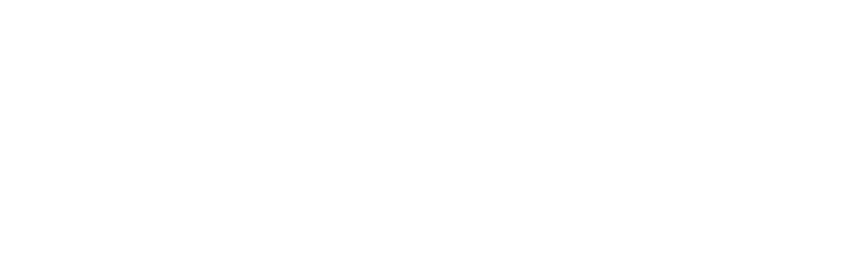 logo dark